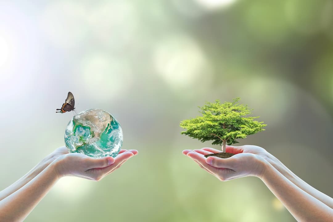 Environment: Sustainable Solutions for a Better Future